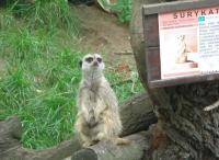 Tu chciała przybrać pozę ze zdjęcia obok ;)