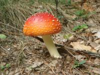 Temu panu podziękujemy ;)