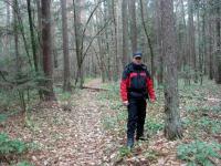 Trasa Rudki - Święta Katarzyna, Modrzewiowy Las 