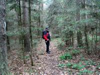 Trasa Rudki - Święta Katarzyna, Modrzewiowy Las 