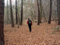 Trasa Rudki - Święta Katarzyna, Modrzewiowy Las 