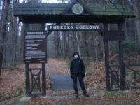 Puszcza Jodłowa 