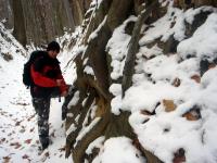 Rezerwat Barania Góra, Ciosowa Góra - zimowy spacerek 