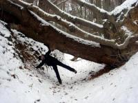 Rezerwat Barania Góra, Ciosowa Góra - zimowy spacerek 