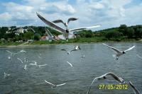 Nasza majowa wycieczka do Kazimierza Dolnego