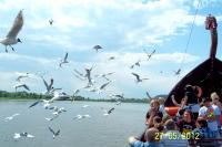 Nasza majowa wycieczka do Kazimierza Dolnego