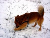 Powitanie 2012 ROKU "Przygoda" - jeszcze raz