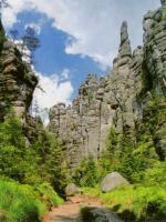 Wykałaczka Karkonosza