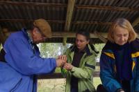 W "ogórkach" (J.J.)