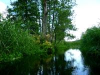 Krajobraz z arcydzieglem