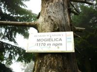 Lipcowy wyjazd KG w Beskidy