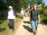 Z Bocheńca do Chęcin