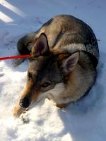 WALENTYNKI w KTP "Przygoda" -  fotek nigdy za wiele