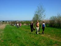 "Tramper" z "Przygodą" na szlaku, czyli uczestnicy festiwalu "Na Rozdrożach"  z nami na spacerze