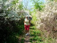 "Tramper" z "Przygodą" na szlaku, czyli uczestnicy festiwalu "Na Rozdrożach"  z nami na spacerze