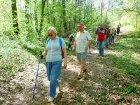 "Tramper" z "Przygodą" na szlaku, czyli uczestnicy festiwalu "Na Rozdrożach"  z nami na spacerze
