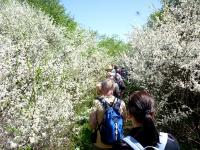 "Tramper" z "Przygodą" na szlaku, czyli uczestnicy festiwalu "Na Rozdrożach"  z nami na spacerze