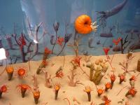 Nasza wizyta w Centrum Geoedukacji na Wietrzni 