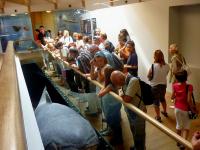 Nasza wizyta w Centrum Geoedukacji na Wietrzni 