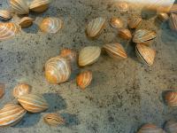 Nasza wizyta w Centrum Geoedukacji na Wietrzni 