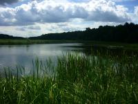 Odwiedziny u Krasińskich