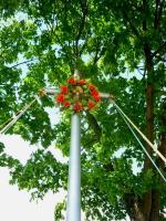 Odwiedziny u Krasińskich