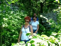 Odwiedziny u Krasińskich