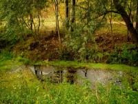 Trochę wody dla nas zostało.