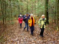 W Dzień Niepodległości; świętowanie na trasie z Miedzianej Góry do Kielc