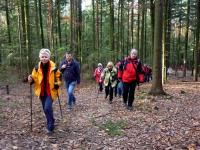 W Dzień Niepodległości; świętowanie na trasie z Miedzianej Góry do Kielc