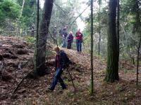 W Dzień Niepodległości; świętowanie na trasie z Miedzianej Góry do Kielc