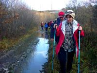 W Dzień Niepodległości; świętowanie na trasie z Miedzianej Góry do Kielc
