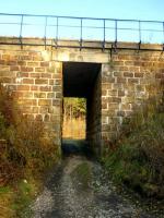 W Dzień Niepodległości; świętowanie na trasie z Miedzianej Góry do Kielc