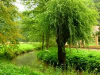 Jeden z malowniczych widoczków po drodze