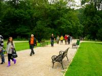 Aleja spacerowa w ojcowskim parku