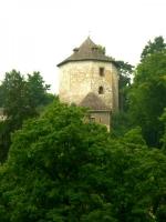 Widok z Ojcowa na zamek