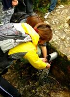 spragnionych napoi, zmęczonych ochłodzi