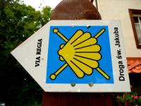 Jesteśmy w samotni na Grodzisku; tędy biegnie jedna z polskich dróg św. Jakuba 