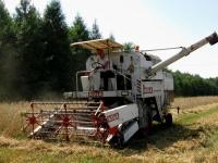 Odwiedziny u Krasińskich