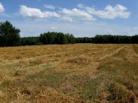 Odwiedziny u Krasińskich