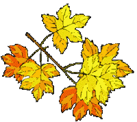 Wycieczka PRZYGODY w niedzielę 4 listopada