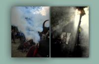 DYMARKI ŚWIĘTOKRZYSKIE 2011