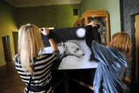 SPODZIEMIA - prezentacja młodej sztuki WDK 25.10. godz.17