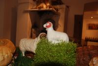 Przedświątecznie palmowo kolorowo