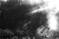 DYMARKI ŚWIĘTOKRZYSKIE 2011