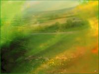 SPOTKANIA Z PRZYRODĄ W MHKi-7 kwietnia 