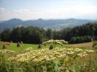 po górach dolinach........................