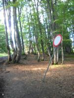 na  szlaku z Turbacza do  Łopusznej