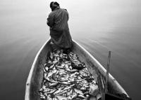 W SIECI RYBACKIEJ- WERNISAŻ MARCINA ŚWIĘCICKIEGO 9 MAJA 2011