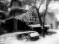 koncert dla Kasi Gaertner 29 marca 